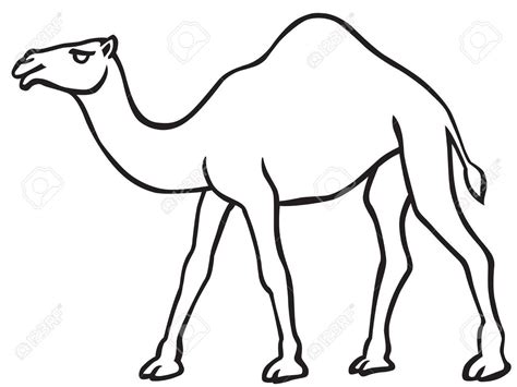 camel outline images|camel outline drawing.